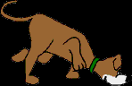 184.bmp