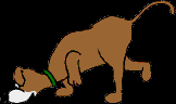 203.bmp
