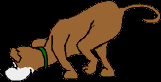 208.bmp