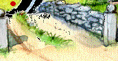 17.bmp