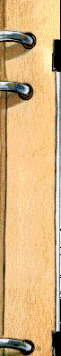 98.bmp