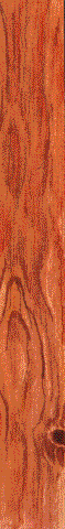 15.bmp