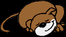 162.bmp