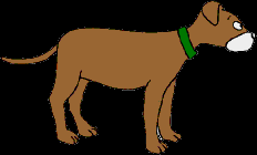 229.bmp