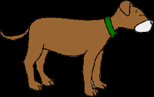 231.bmp