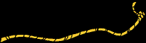 34.bmp