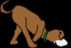 52.bmp