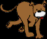 55.bmp