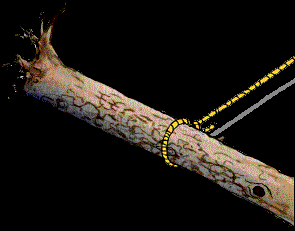 28.bmp