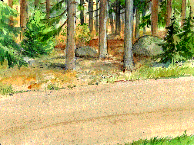 25.bmp