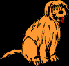 30.bmp