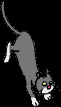 42.bmp