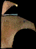 268.bmp