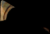 273.bmp