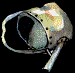 341.bmp