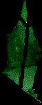 424.bmp