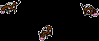 501.bmp