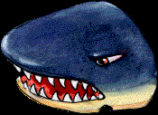 34.bmp
