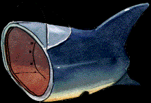 39.bmp
